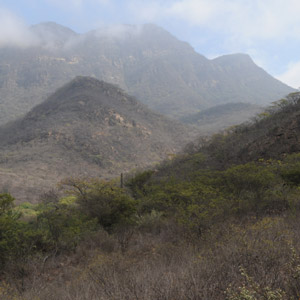 La réserve privée de Chaparrí (Pérou), une destination à découvrir
