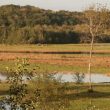 Observer les oiseaux dans la basse vallée de l’Adour (Landes)