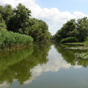 Séjour ornithologique dans le delta du Danube (Roumanie) du 27/04 au 05/05/2002