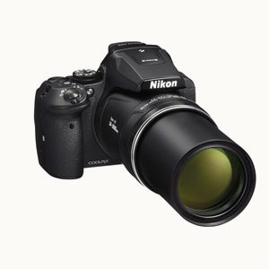 Test : photographier et filmer les oiseaux avec le Nikon Coolpix P900