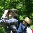 Un Américain sur cinq observe les oiseaux