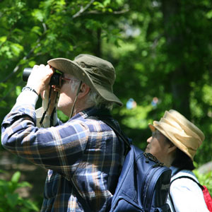 Un Américain sur cinq observe les oiseaux