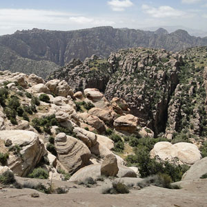 Voyage ornithologique en Jordanie du 1er au 11 avril 2002