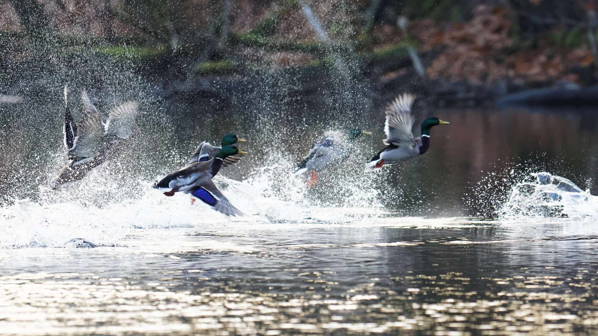 Décollage au petit matin