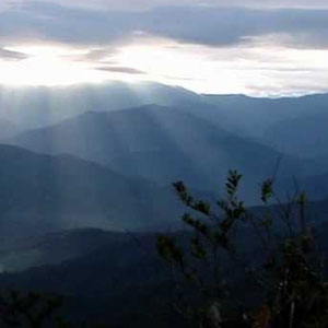 Découvertes dans la haute vallée de la Nangaritza et dans la Cordillera del Cóndor (Équateur)