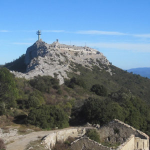 Observer les oiseaux dans les Alpilles (Bouches-du-Rhône)