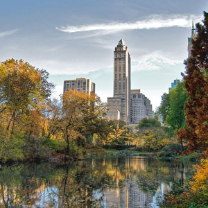 Observer les oiseaux à Central Park (New York)