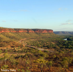 Voyage ornithologique dans le Territoire du Nord (Australie)