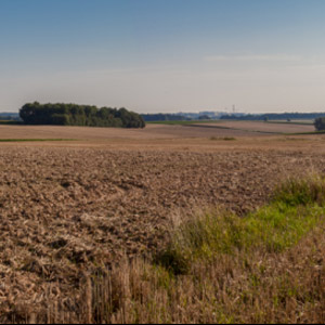 Le plateau de Leefdaal (Belgique), un site à haut potentiel ornithologique
