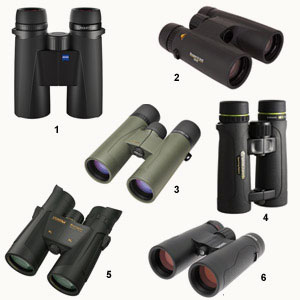 Test de six jumelles 8×42 de gamme moyenne