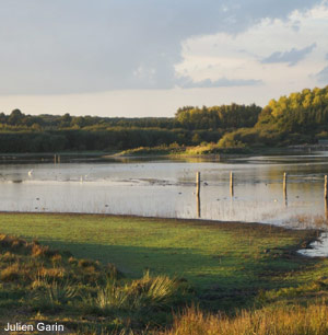 Le domaine de Careil (Ille-et-Vilaine), la renaissance réussie d’un étang