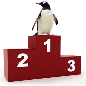 Les jeux olympiques des oiseaux : les champions