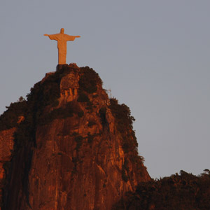 Où observer les oiseaux à Rio de Janeiro et dans les environs ?