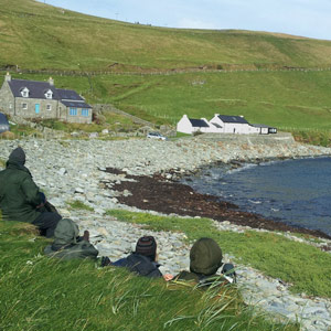 Les îles Shetland, une destination ornithologique passionnante en automne