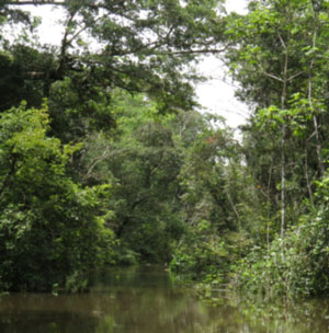 La laguna Chiquita, un petit bout d’Amazonie colombienne