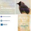 1ère édition des Journées Nationales des Ornithologues Amateurs Algériens