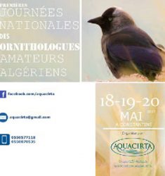 1ère édition des Journées Nationales des Ornithologues Amateurs Algériens