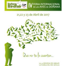 4ème Doñana Birdfair (IV feria internacional de las aves de Doñana)