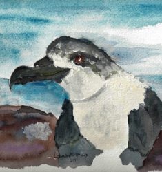 9ème édition des Nuits sans lumière à La Réunion