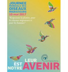 Journée Mondiale des Oiseaux Migrateurs ou « World Migratory Bird Day »