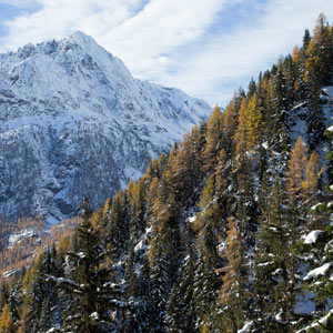 Observer les oiseaux près de Chamonix-Mont-Blanc (Haute-Savoie) : Daniel Rodrigues nous en dit plus