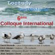 6ème colloque international d’ornithologie de Loctudy