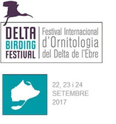 4ème festival international ornithologique du delta de l’Ebre