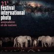 21ème festival de la photo animalière de Montier-en-Der