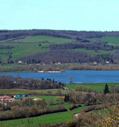 Découverte des oiseaux d’eau des réservoirs de Panthier, Tillot et Chazilly
