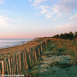 Les dunes de Prunete (Corse), un remarquable site de suivi de la migration prénuptiale