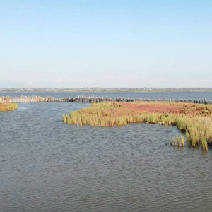 Séjour ornithologique dans le nord-ouest du Péloponnèse (Grèce)