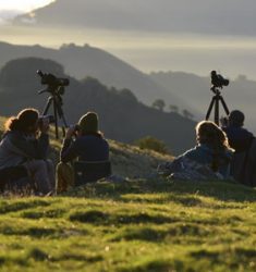 Participez au suivi 2018 de la migration sur le col d’Organbidexka