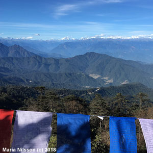 Observer les oiseaux au pays du « bonheur brut » : séjour au Bhoutan en novembre 2017