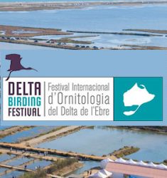6e festival international ornithologique du delta de l’Èbre