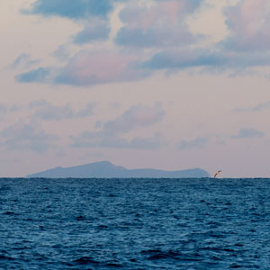 Foula, une île écossaise isolée riche en surprises ornithologiques
