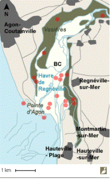 Reposoirs de limicoles (ronds rouges) dans le havre de Regnéville à marée haute