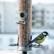 Conseils pour nourrir les oiseaux sur son balcon en hiver