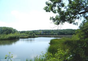 Vue du l'étang du parc naturel départemental de Vaugrenier (Alpes-Maritimes)