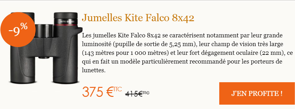 Jumelles Kite Falco 8×42