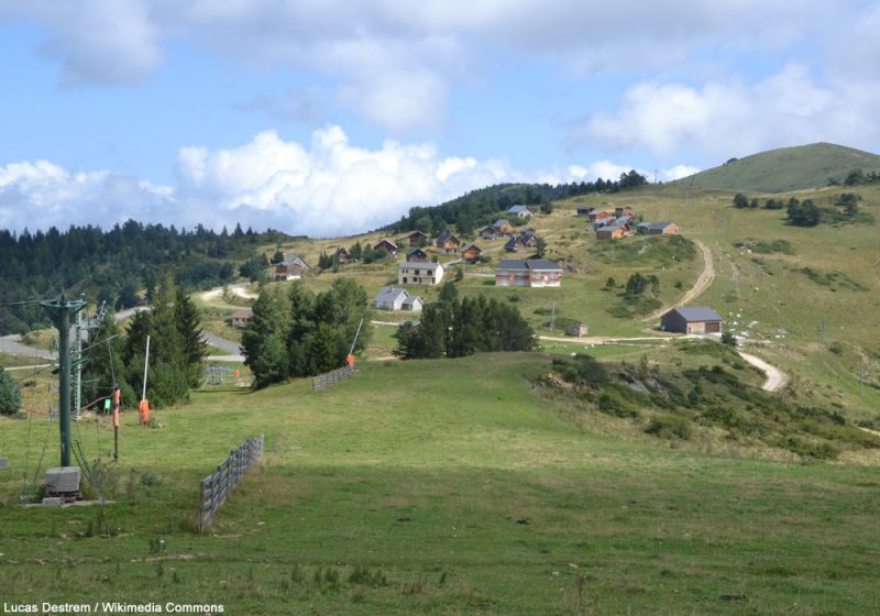 Observer la Perdrix grise des Pyrénées : les environs de la station de ski de Camurac (Aude)