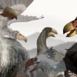 Les oiseaux préhistoriques géants du Cénozoïque