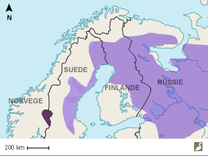 Aire actuelle de répartition de la Chouette lapone (<em>Strix nebulosa</em>) en Scandinavie