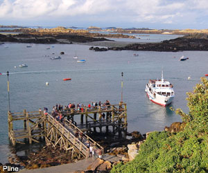 La Grande Ile De Chausey Manche Une Destination Ornithologique Interessante Et Peu Connue Ornithomedia Com