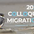 Colloque en ligne « Migration 2020 »