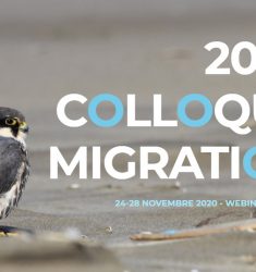 Colloque en ligne « Migration 2020 »