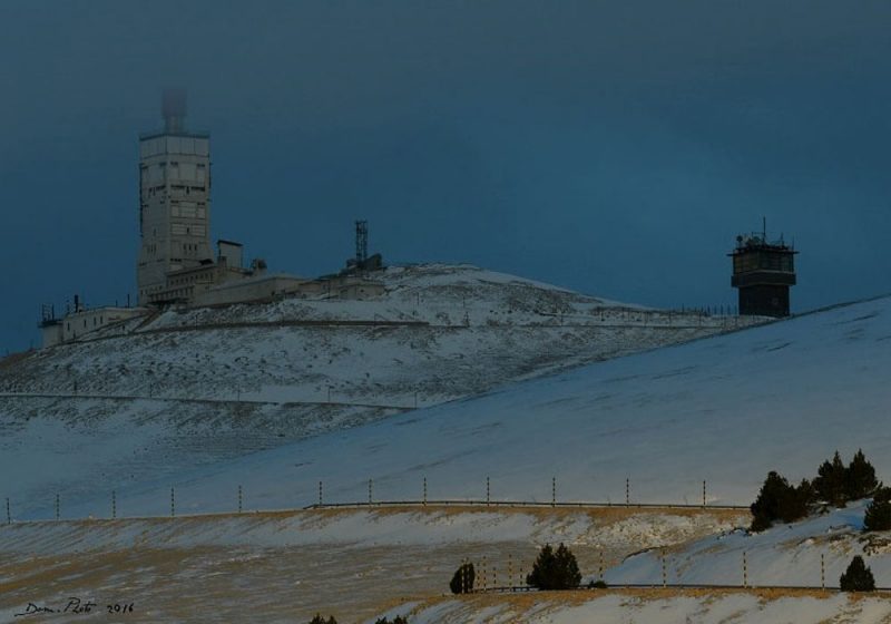 Observer les oiseaux sur le mont Ventoux (Vaucluse), le Géant de Provence