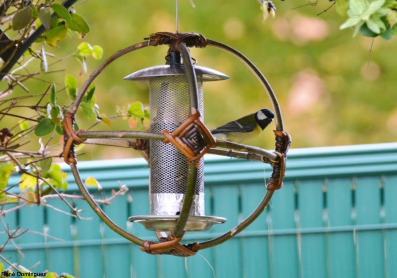 Réaliser une armature en osier et en châtaignier pour mangeoire tubulaire