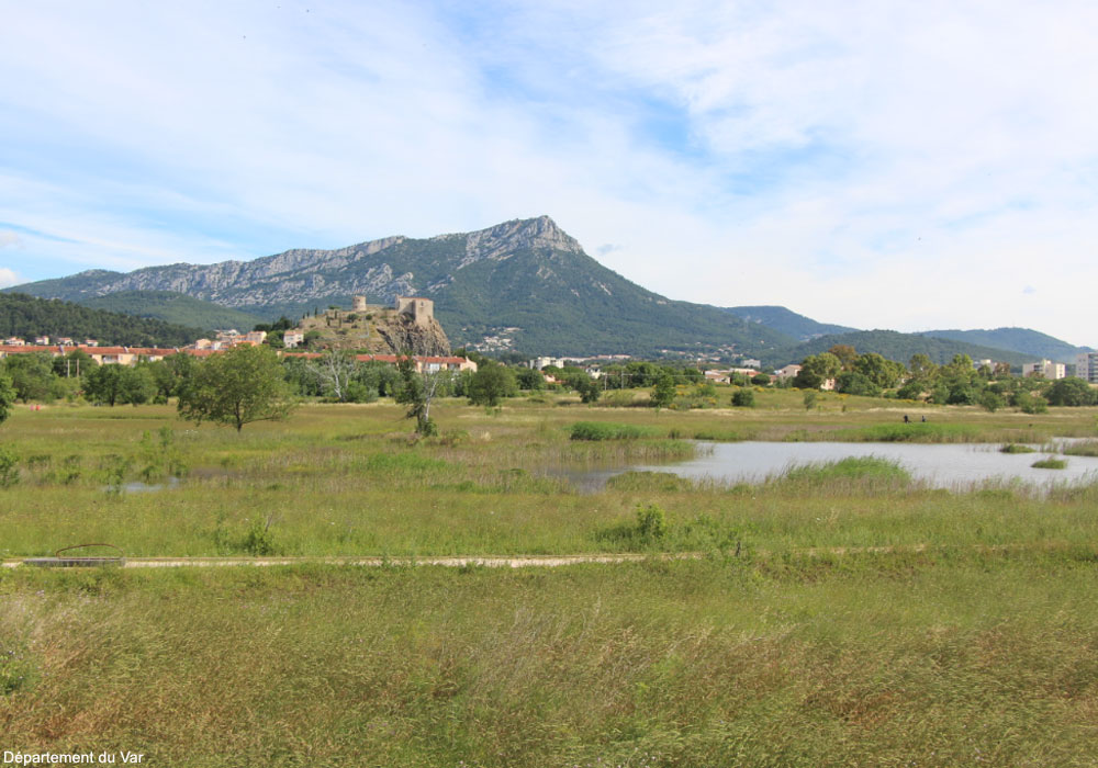 Vue de l'Espace nature du Plan de la Garde (Var)