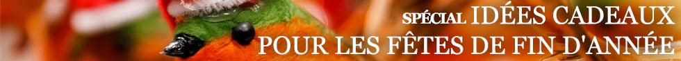 https://www.ornithomedia.com/thematiques/idees-cadeaux-pour-les-fetes-de-fin-dannee/