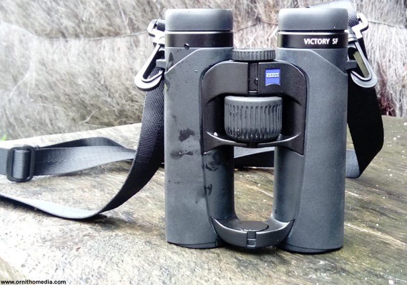 Avantages et inconvénients des jumelles 10×32 et test des Zeiss Victory SF 10×32